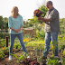  5 Tips for Beginner Gardeners