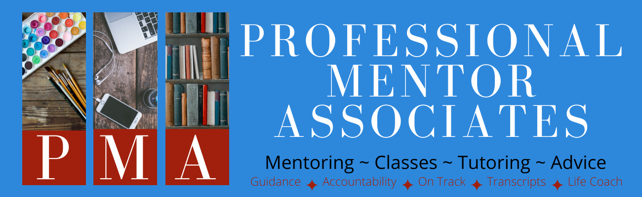 Professional Mentor Associates
