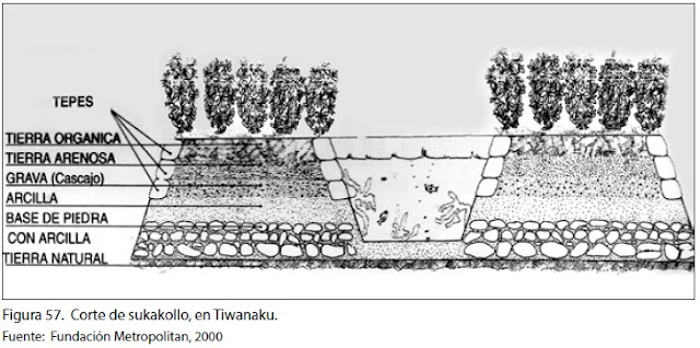 Corte de sukakollo, en Tiwanaku.