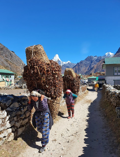 sherpa_carregador_everest_trekking