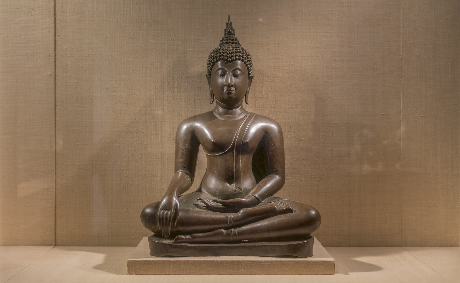 Vipassana & Yoga Foundation