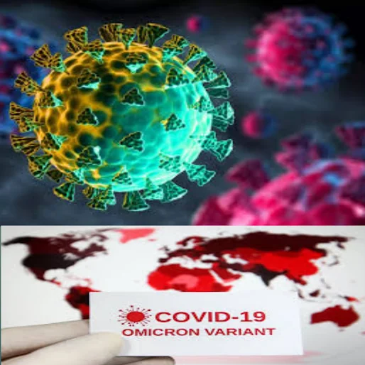 omicron cases in india,omicron,omicron cases,omicron variant,coronavirus update omicron cases in india,india omicron cases,omicron cases in delhi,omicron variant cases in india,new omicron cases in india,india omicron cases surge,coronavirus cases in india,coronavirus cases today,omicron in india,omicron variant cases uk,delhi omicron cases today,omicron cases in karnataka,omicrom cases in india,omicron news,corona cases in india,covid-19 cases