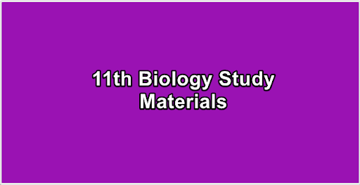 11th Biology Study Materials