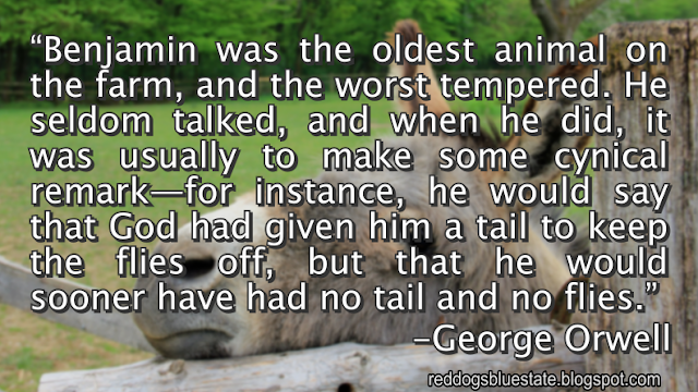 “Benjamin was the oldest animal on the farm, and the worst tempered. He seldom talked, and when he did, it was usually to make some cynical remark—for instance, he would say that God had given him a tail to keep the flies off, but that he would sooner have had no tail and no flies.” -George Orwell