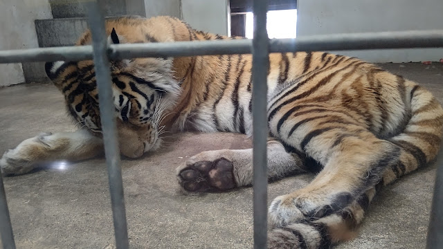 北海道 道東 釧路市動物園