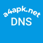 DNS Changer Pro Mod Apk by BGNmobi v1287r