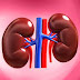 Bridging the Knowledge Gap to Better Kidney Care