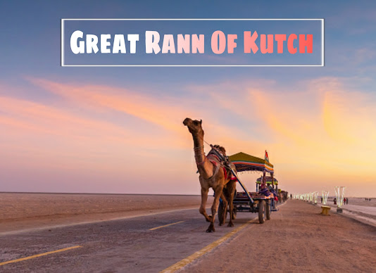 A Mesmerizing Trip To Great Rann Of Kutch