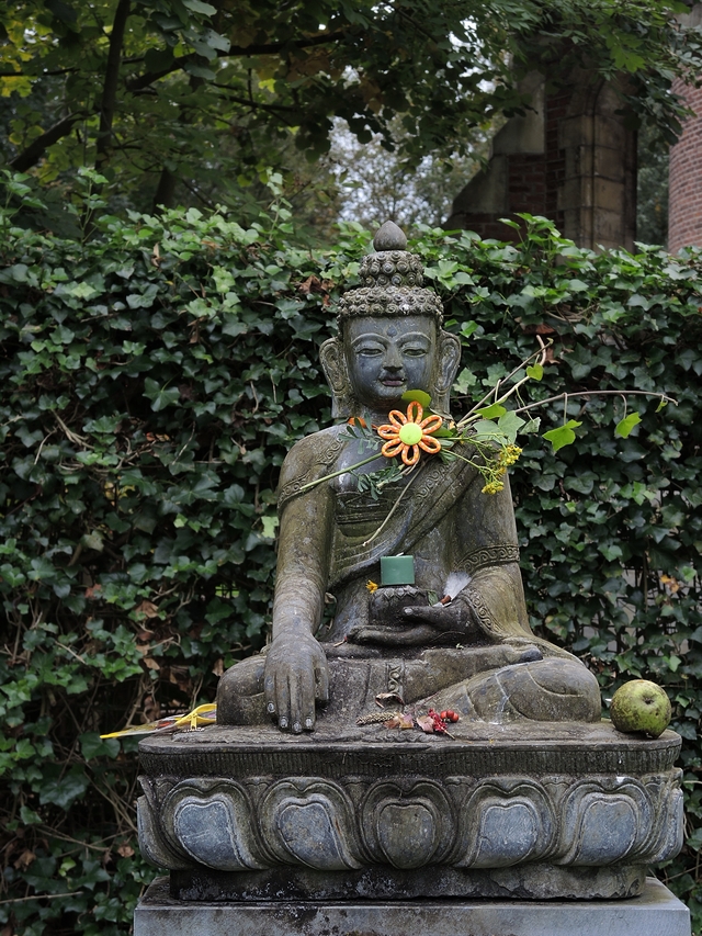 Antwerpen: herfst in park Den Brandt