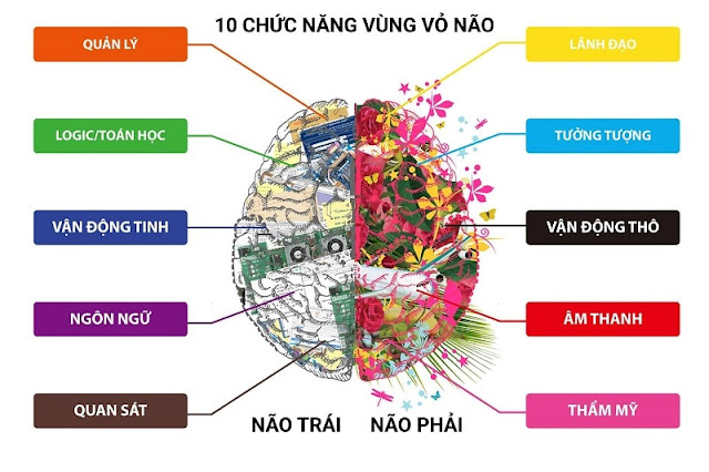 Phát triển não bộ cùng toán tư duy soroban