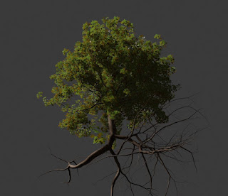 Tree with roots Plant fbx blend free 3d models download