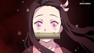 鬼滅の刃アニメ 主題歌 竈門禰豆子 Demon Slayer Theme