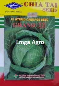 Grand 22, Benih Kubis Grand 22, Kubis Grand 22 F1, Tanaman Kubis Grand 22, Tanaman Kubis, Budidaya Kubis, Menanam Kubis, Dataran Rendah, Lmga Agro, Toko Pertanian