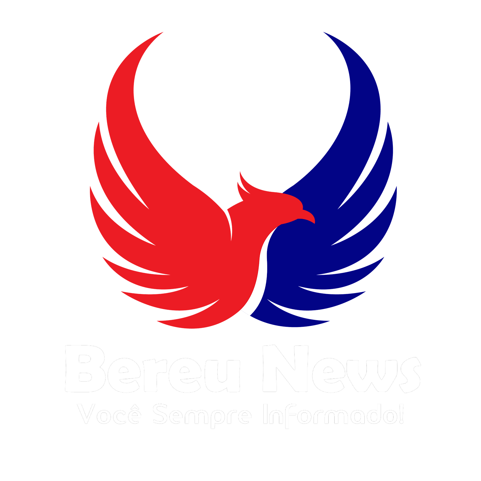 BEREU NEWS