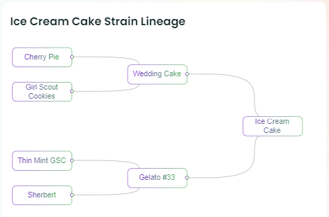 Ice Cream Cake Strain Lineage