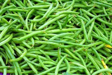 The fiber content in green beans helps in the prevention of constipation.