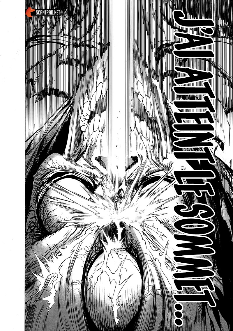 One Punch Man Scan 216 VF - One Punch Man Scan VF
