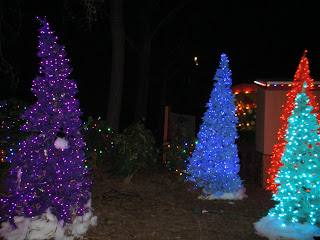 Christmas Trees with Bright Lights at Carowinds Winterfest