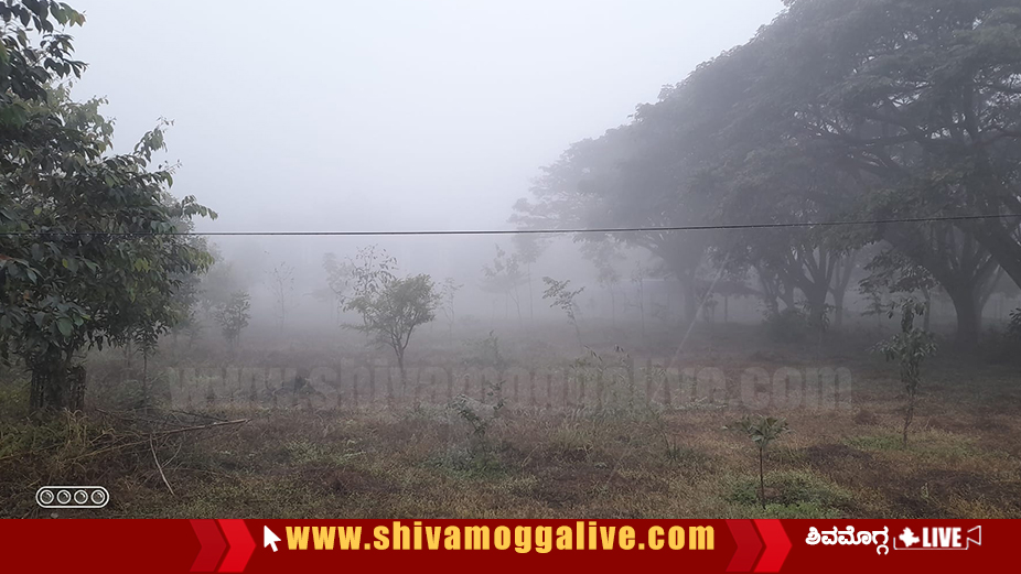 mist in shimoga city