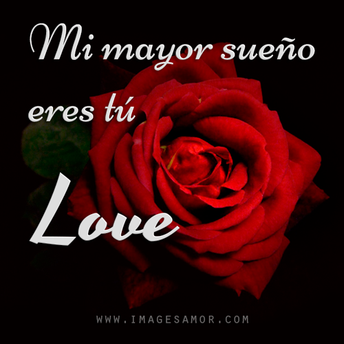 Rosas de amor con frases para enamorar