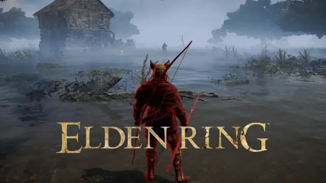 Читы Elden Ring ломают файлы сохранения игроков — как исправить сбой бесконечного падения