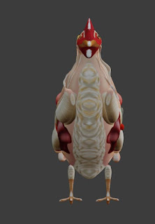 Hen anatomy rigged free 3d models fbx obj blend