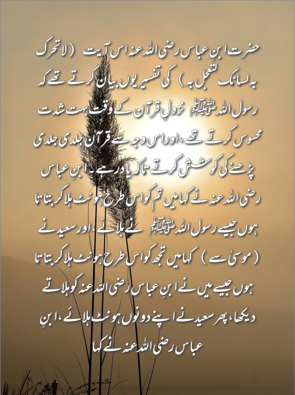 Hadees status of Whatsapp|hadees| hadees in urdu