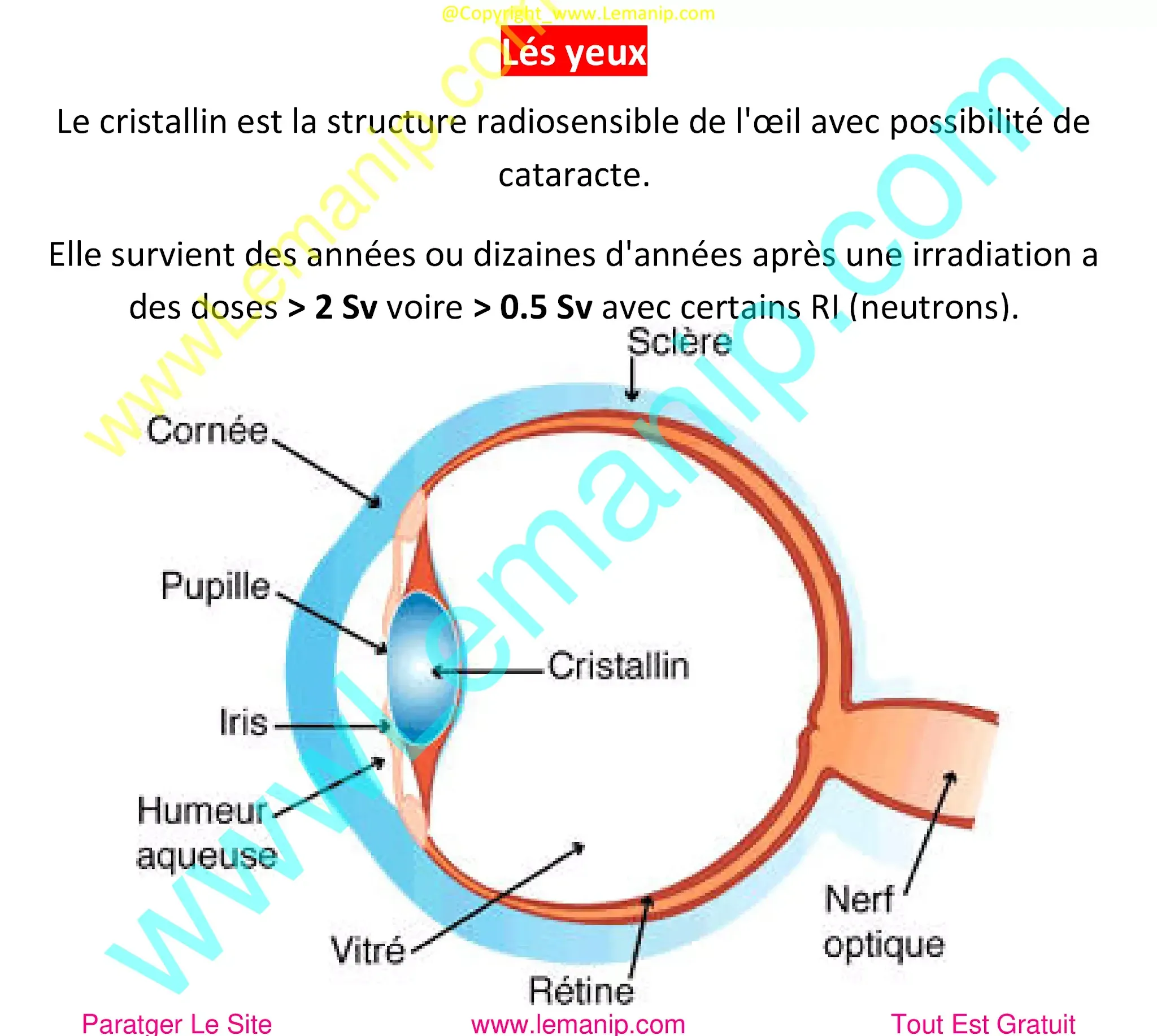 Lés yeux