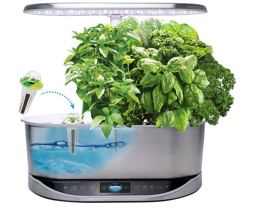 AeroGarden Indoor Garden with LED Grow Light