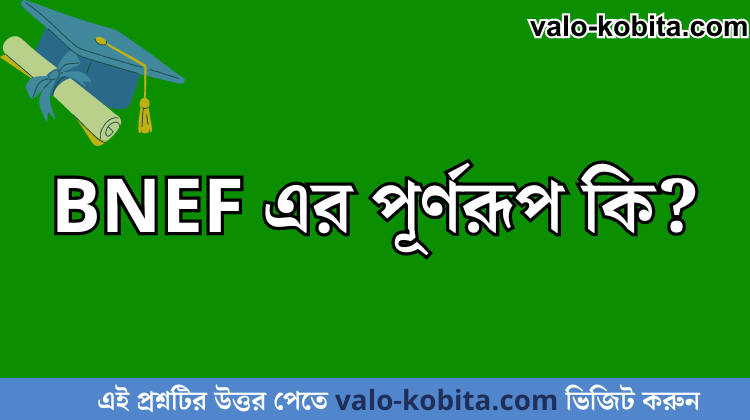 BNEF এর পূর্ণরূপ কি?