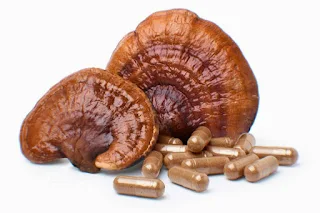 Ganoderma Mushroom Products in Gitega.