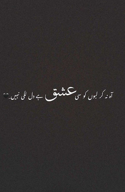 One line poetry Quotes In Urdu, One line Quotes In Urdu text, Deep one Line Quotes In Urdu, Urdu one line Quotes about life, Golden Words In Urdu one line, One line Love Poetry In Urdu, 1 line poetry In Urdu text,One Line Poetry in Urdu Attitude, One line poetry Love, One line poetry caption.