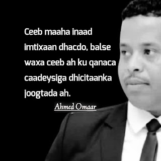 Ahmed Omaar motivational quotes, Somali quotes