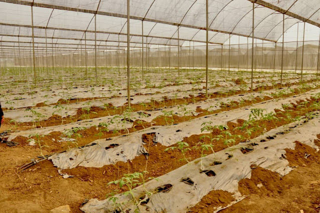 Greenhouse Farm in Akwa Ibom