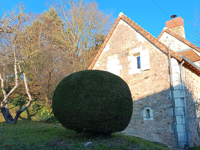 Topiary yew, Indre et Loire, France. Photo by Loire Valley Time Travel.