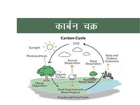 गैसीय तथा सेडिमेंट्री चक्र (Gaseous and Sedimentary Cycle)