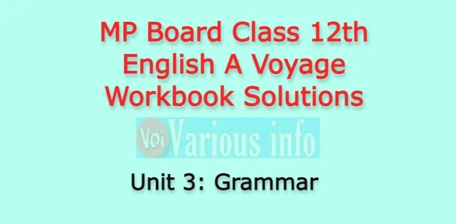 MP Board Class 12th English A Voyage Workbook Solutions Unit 3 Grammar