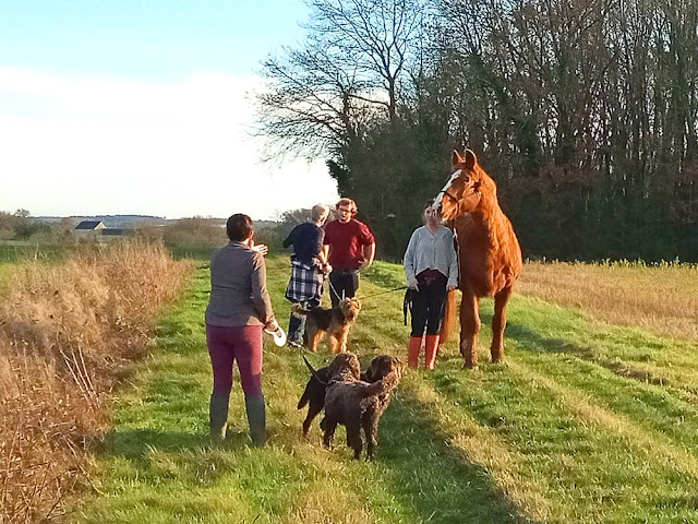 Out walking with dogs and horses, Indre et Loire, France. Photo by Loire Valley Time Travel.
