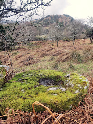 Bullaun Stone, Glendalough