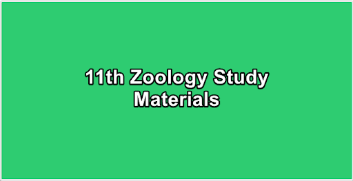 11th Zoology Study Materials