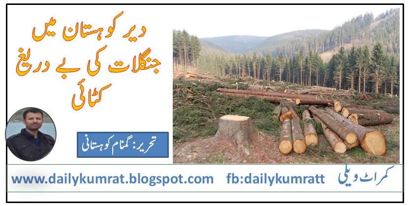 DEFORESTATION IN DIR KOHISTAN 