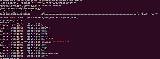 Download process google chrome on linux ubuntu