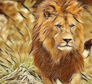 lion painting images