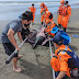 七股沙洲保育類印太瓶鼻海豚擱淺 海巡蚵農聯手急搶救