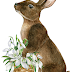 Osterhase mit Schneeglöckchen und Vergißmeinnicht, Easter bunny with
flowers
