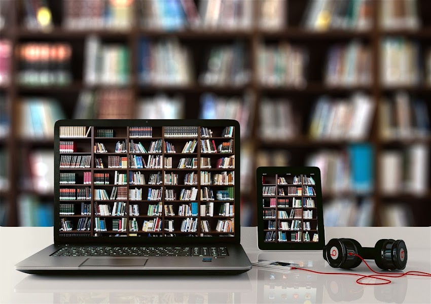 Digital Libraries in Texas and Beyond