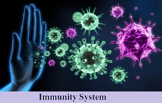 Immunity System in hindi: इम्यून सिस्टम क्या है, कैसे काम करता है