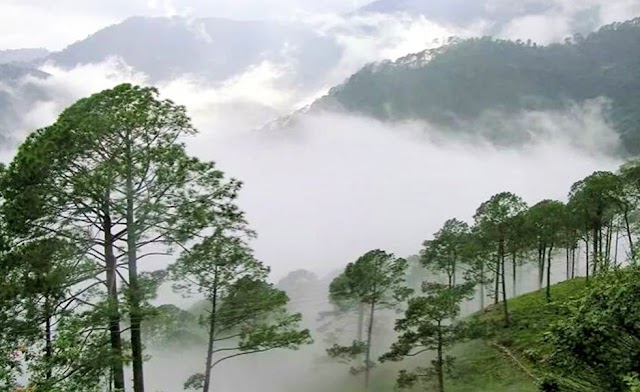 Araku Valley : Vizag