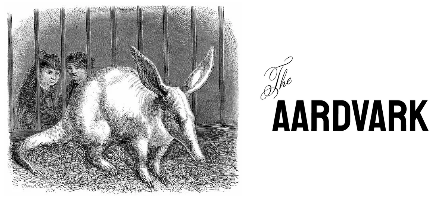 The Aardvark