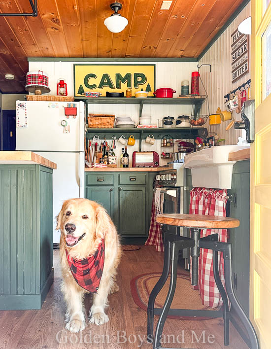 Camp lucky dog cabin in the Adirondacks - www.goldenboysandme.com